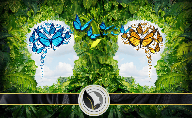 الاتصال الفعال