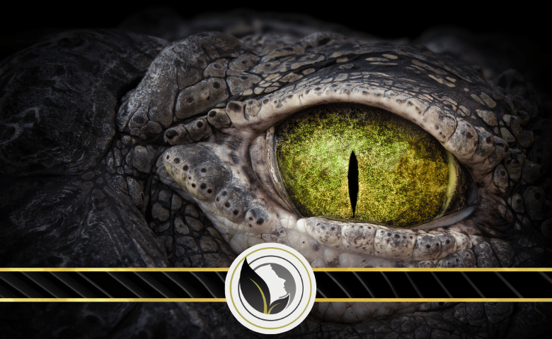 كيف تعرف انك مصاب بالعين