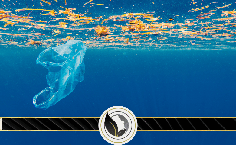 انواع التلوث البحري