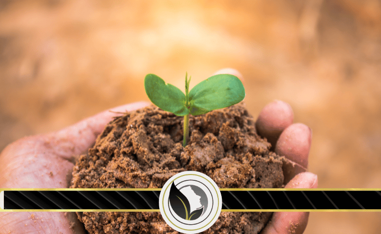 ايجابيات و سلبيات الثروة الخضراء