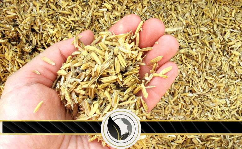 فوائد قشور الاسبغول