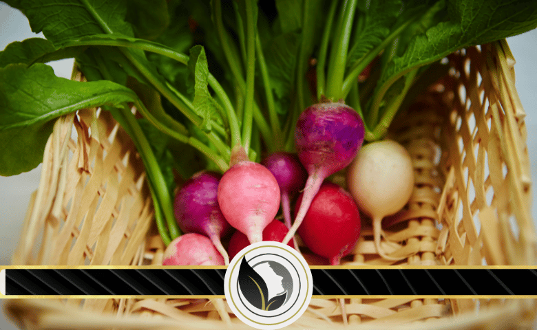 مصادر السيراميد