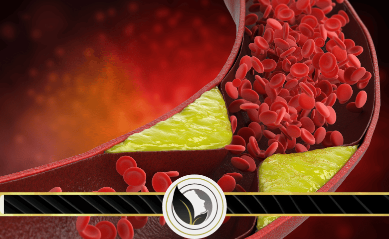 الجلطات الدموية