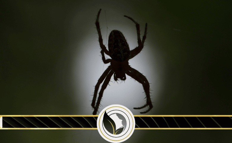 العلاج بالتعرض