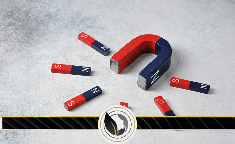 المغناطيسية الحديدية