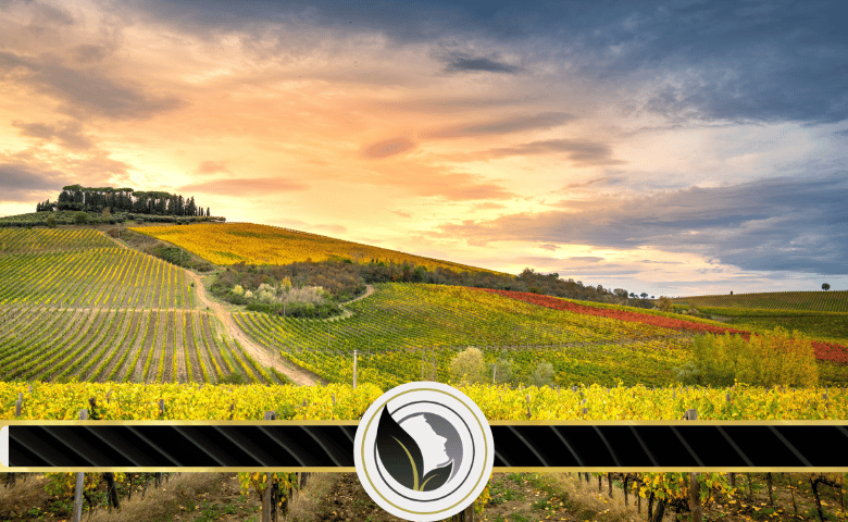 ما هي الأقاليم الحيوية