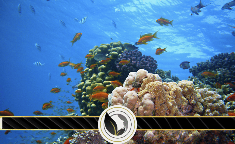 الغلاف الذي تعيش فيه المخلوقات الحية