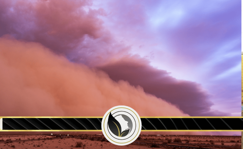 تعرف على ظاهرة العواصف الرملية والترابية وآثارها