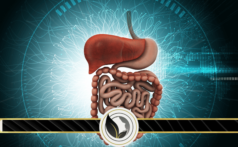 فوائد الصمغ العربي على الجهاز الهضمي