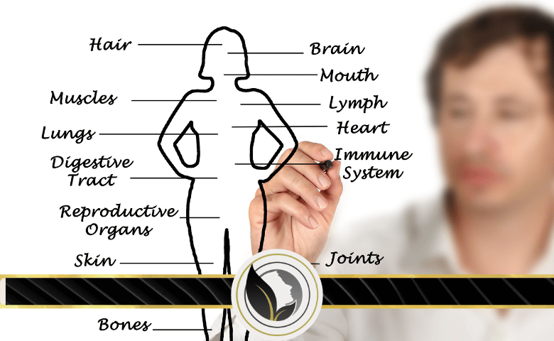 ماذا يحدث للجسم عند التوتر