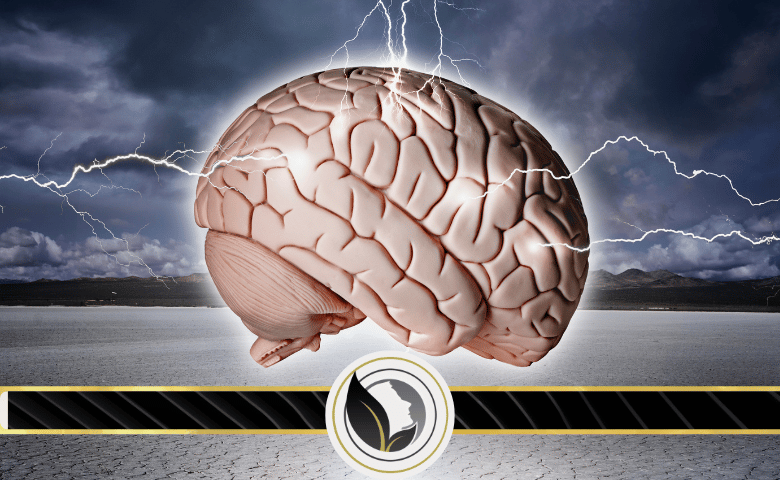 العناصر التي تحفز التفكير لدى الفرد