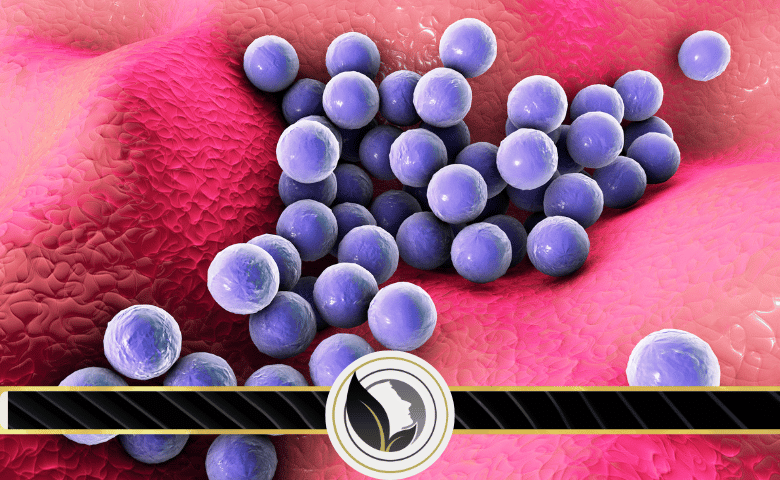 ما هي المكورات العنقودية؟