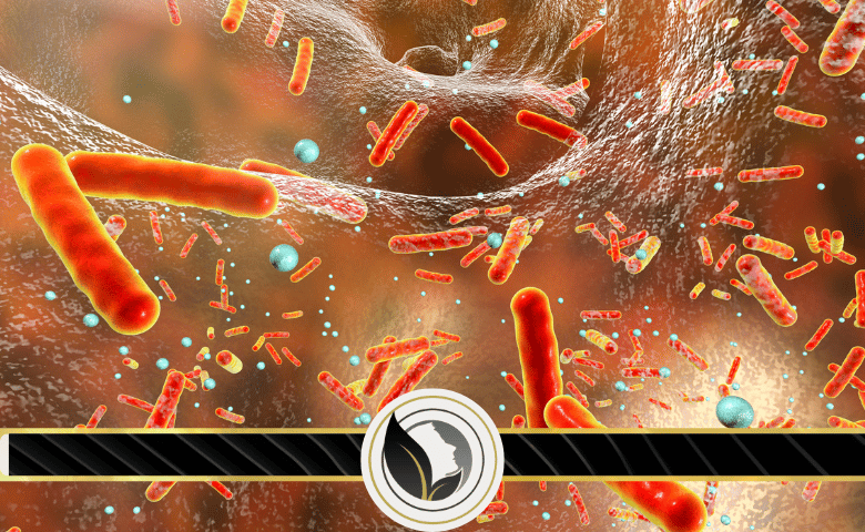 ما هي جرثومة الشيغيلا؟