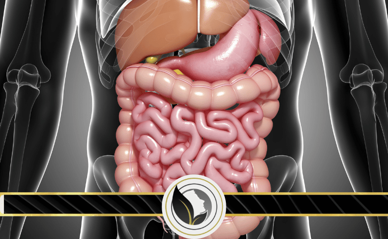خرافات عن جهازك الهضمي