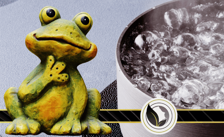 لاتستهلك طاقتك كلها